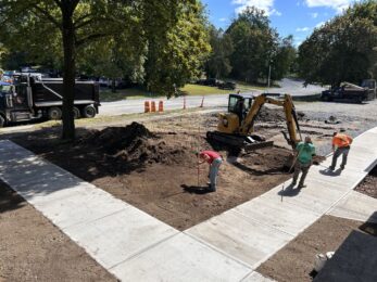 Cleaning_Up_Side_Yard_IMG_1210